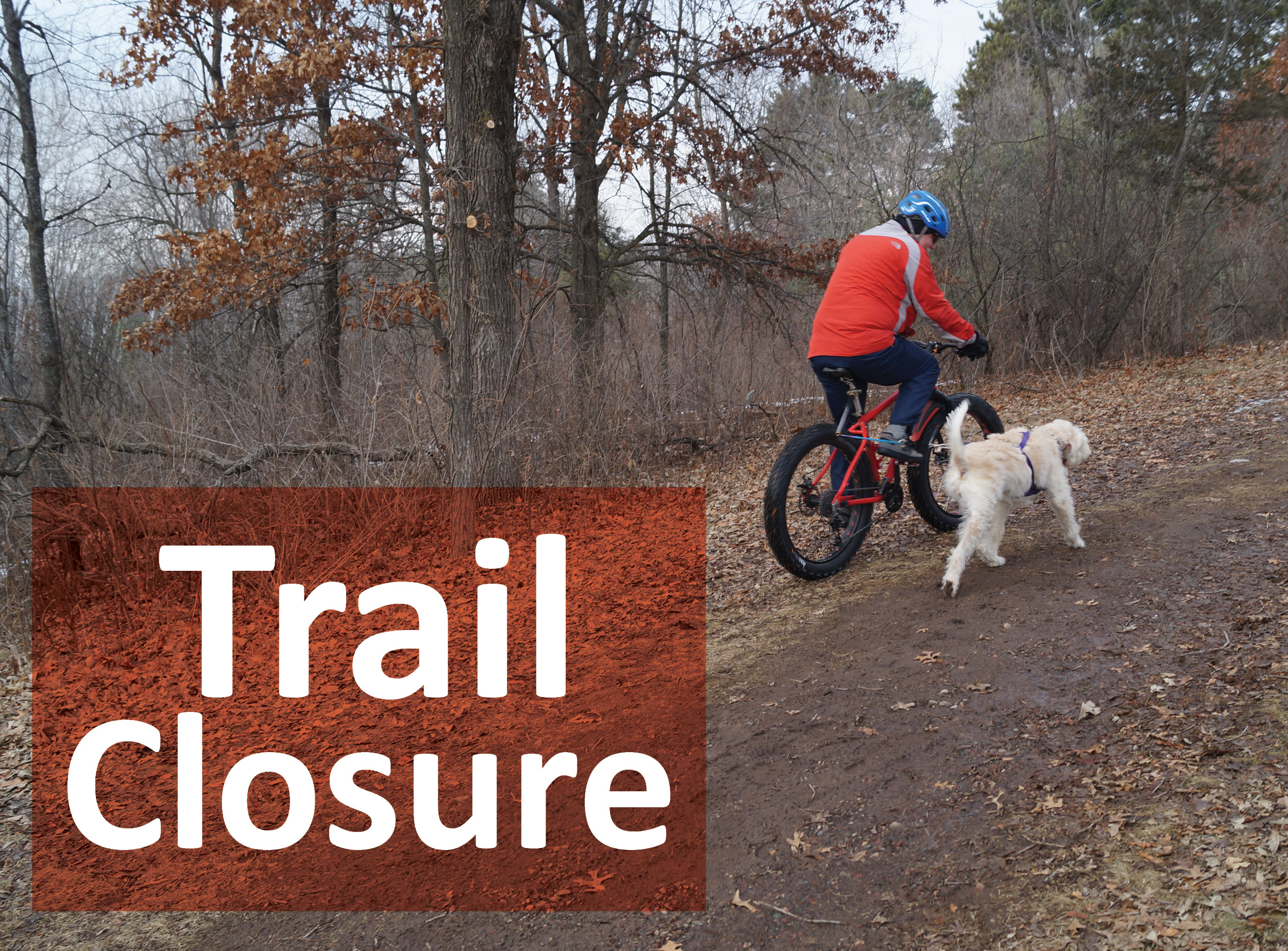 A man on a bicycle with a dog on a leash biking on the turf trail.