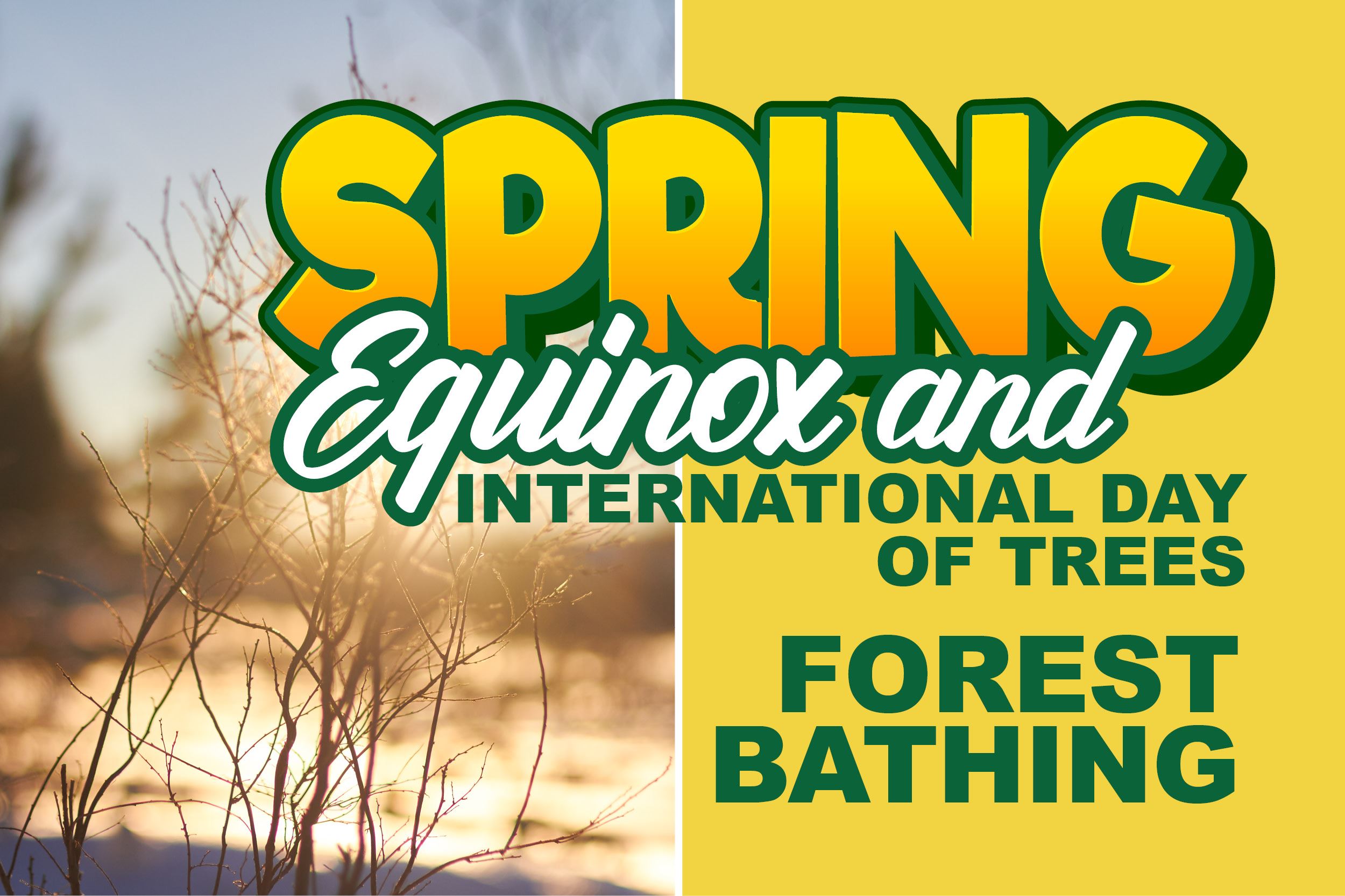 Spring Equinox Forest Bathing